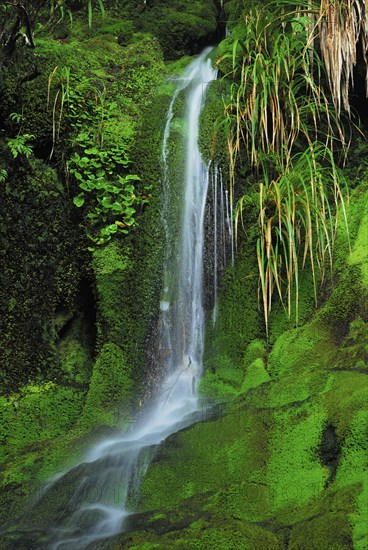 Waterfall on the Routebrun Track, Routeburn Valley, Routeburn Track, Humboldt Mountains, Mount Aspiring National Park, Otago, South Island New Zealand, Routeburn Valley, Otago, New Zealand, Oceania