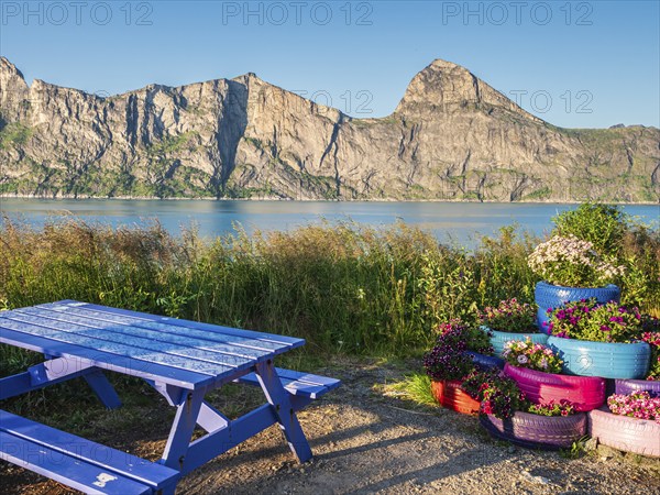 Rest stop, rest area, at the Mefjord, flowers planted in old tires, view to mountain Segla (right) and Hesten (left), island Senja, Troms, Norway, Europe