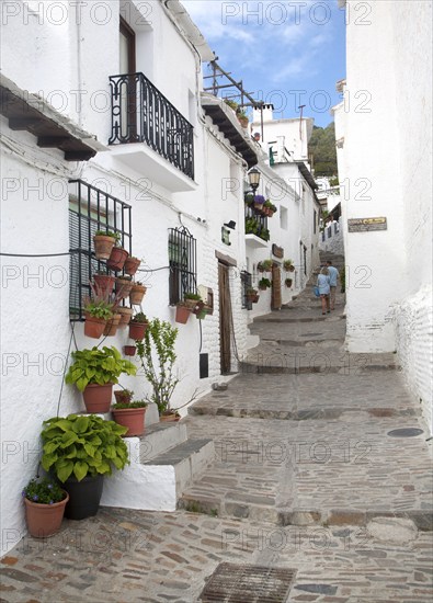 Houses in the village of Capileira, High Alpujarras, Sierra Nevada, Granada province, Spain, Europe