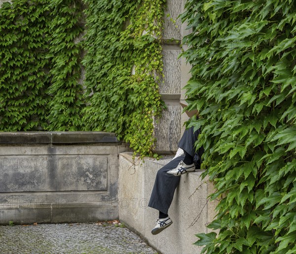 A person sits on the windowsill, covered by ivy on the house facade, Berlin, Germany, Europe