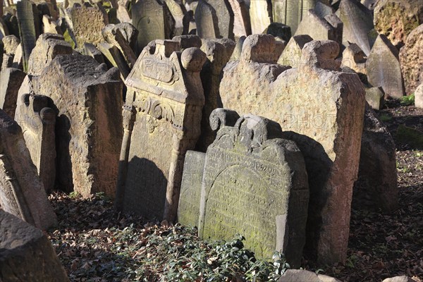 The Old Jewish Cemetery in the Josefov district is one of the most historically significant Jewish cemeteries in Europe. It contains over 12, 000 gravestones and presumably the remains of 100, 000 people, Prague, Czech Republic, Europe