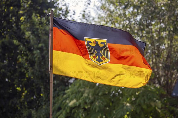 German flag with federal eagle fluttering in the wind, Münsingen, Baden-Württemberg, Germany, Europe