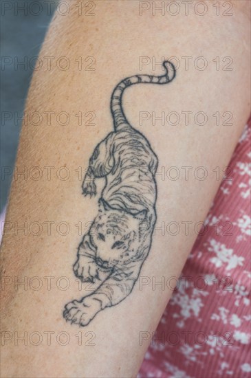 Tattoo of a tiger on the forearm of a young woman, Bavaria, Germany, Europe