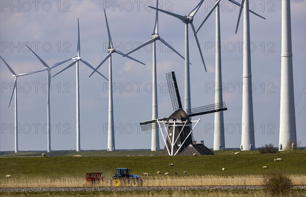 Westereems and Growind wind farms, over 80 wind turbines in total, at the Eemshaven seaport, province of Groningen, in the north-west of the Netherlands, historic Goliath windmill from 1897