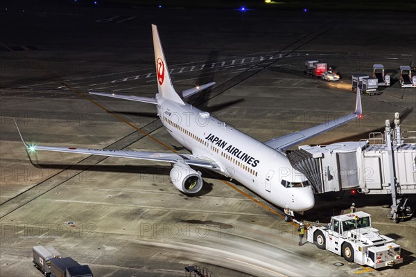 A Boeing 737-800 aircraft of Japan Airlines JAL with the registration JA316J at Tokyo Haneda Airport, Japan, Asia