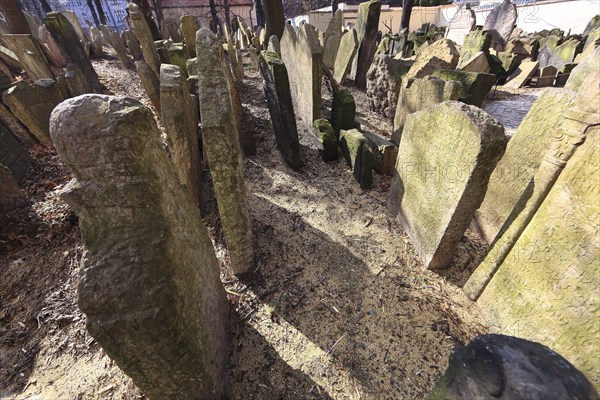 The Old Jewish Cemetery in the Josefov district is one of the most historically significant Jewish cemeteries in Europe. It contains over 12, 000 gravestones and presumably the remains of 100, 000 people, Prague, Czech Republic, Europe