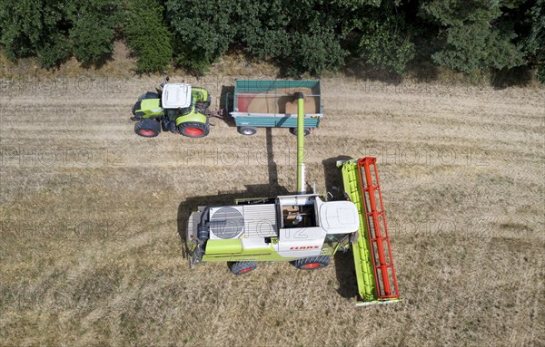 Aerial view of combine harvester harvesting grain on an organic farm, Müncheberg, 28/07/2020