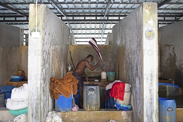 Indian man washing clothes in the laundry Dhoby Khana, Kochi, Kerala, India, Asia