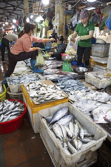 Fresh fish for sale, Cat Ba town market, Cat Ba Island, Halong Bay, Vietnam, Asia