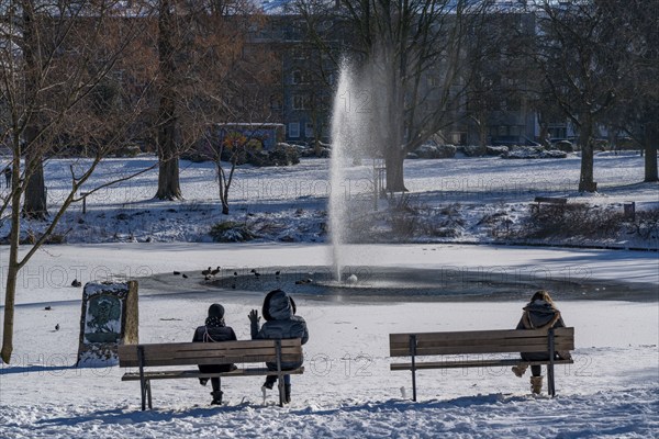 Winter weather in the Ruhr area, Stadtgarten Essen, municipal park in the city centre, snow-covered, frozen pond, Essen, North Rhine-Westphalia, Germany, Europe