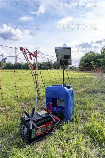 Electric pasture fence, designed to prevent molluscs, here sheep, from touching and climbing over the fence, they receive a slight electric stimulus, power supply via a car battery, solar charger, North Rhine-Westphalia, Germany, Europe