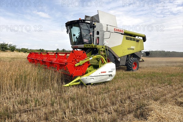 Combine harvester harvesting grain on an organic farm, Müncheberg, 28/07/2020