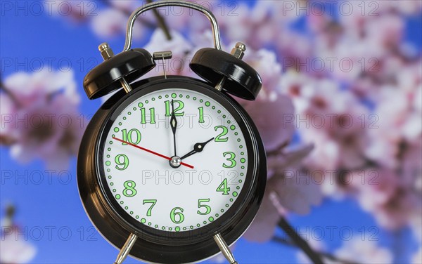 Symbolic image of the time change to summer time: close-up of an alarm clock in front of blooming almond blossoms