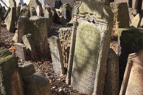 The Old Jewish Cemetery in the Josefov district is one of the most historically significant Jewish cemeteries in Europe. It contains over 12, 000 gravestones and presumably the remains of 100, 000 people, Prague, Czech Republic, Europe