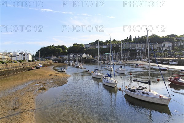 Yachts in harbour marina low tide, Porthmadog, Gwynedd, north west Wales, UK