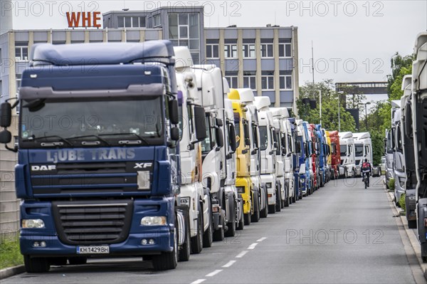 Truck tractors, exclusively from Eastern European countries, park in the harbour area, the canal port of Herne, the drivers wait for the next transport operation, spend their rest periods there, North Rhine-Westphalia, Germany, Europe