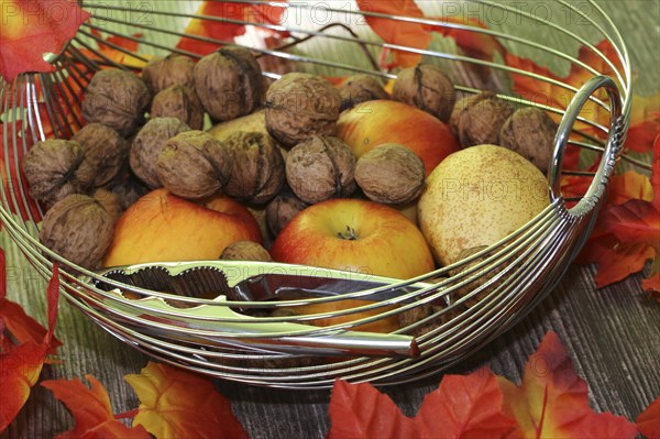 Apples, pears and walnuts on a rustic wooden table as an autumnal motif