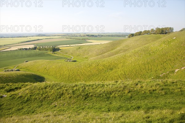 Summer view of arable fields and chalk landscape from Cherhill Down escarpment, Wiltshire, England, UK