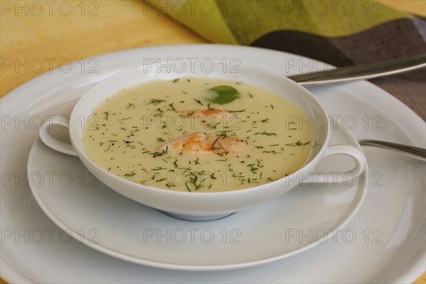 Southern German cuisine, sorrel soup with char, freshwater fish, soup served in soup bowl, herbs, fresh sorrel, blood sorrel, dill, toothpick, savoury, salty, traditional cuisine, food photography, studio, Germany, Europe