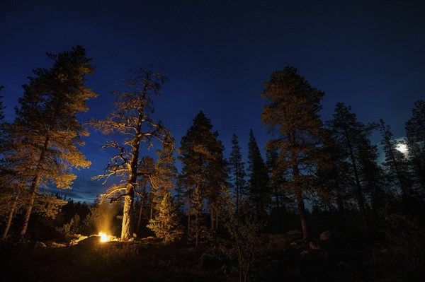 Man in the evening at a bivouac with campfire, Lapland, Sweden, Scandinavia, Europe