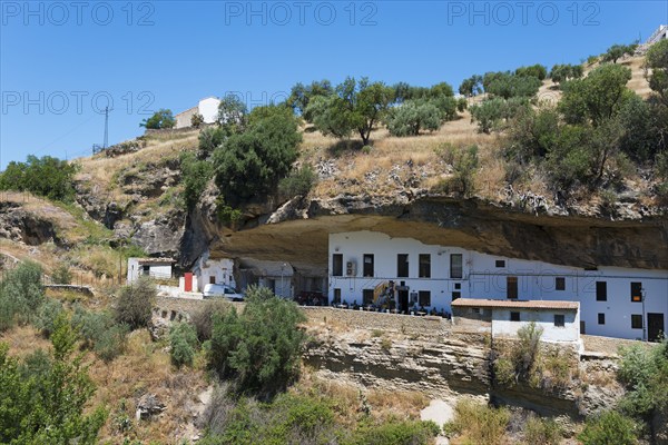 White house under a rock on a sunny hill with trees, restaurant, cave dwellings, Setenil de las Bodegas, Cadiz, Andalusia, Spain, Europe