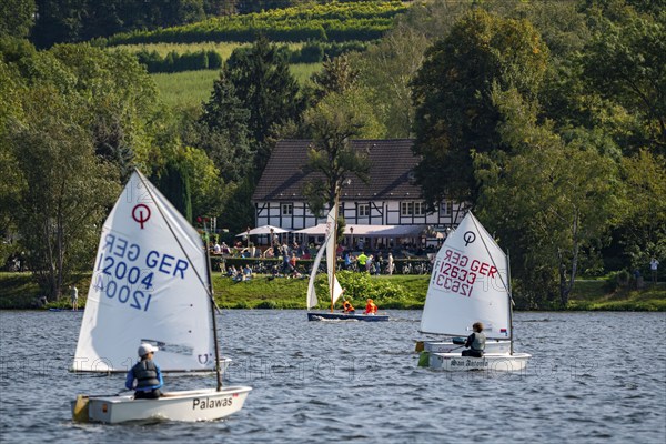 Lake Baldeney in Essen, Ruhr reservoir, sailing boats, Essen Sailing Week sailing regatta, Haus am See beer garden, Essen, North Rhine-Westphalia, Germany, Europe