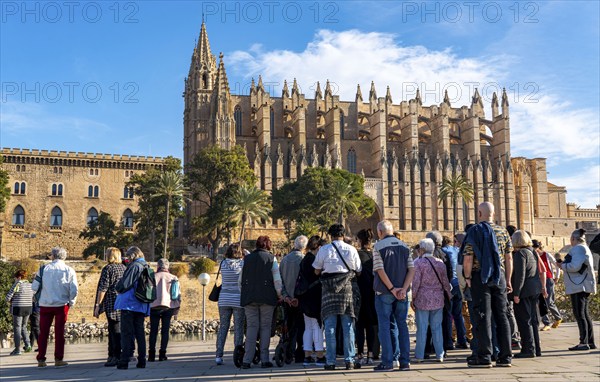 Palma de Majorca, Bay of Palma, the Cathedral of St Mary, group of tourists, from a cruise ship, Balearic Islands, Spain, Europe