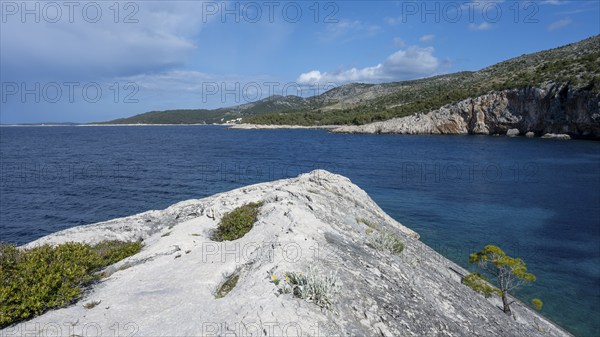 Coast of the island of Hvar, Dalmatia, Croatia, Europe