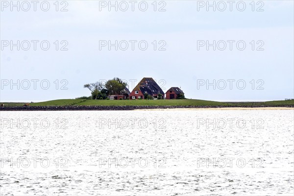 House on the Hallig Hooge, 24.05.2021