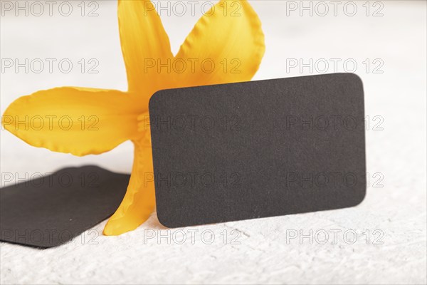 Black paper business card mockup with orange day-lily flower on gray concrete background. Blank, side view, copy space, still life. spring concept