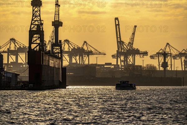 Port of Hamburg, view of the Blohm + Voss shipyard, evening, cranes of the container terminals, harbour tour boat, Hamburg Germany