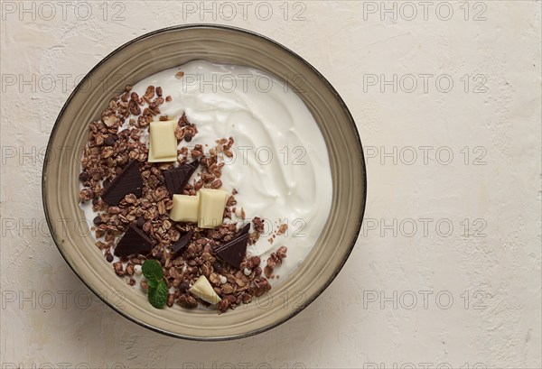 Yogurt with chocolate muesli, breakfast, close-up, fork on top, no people