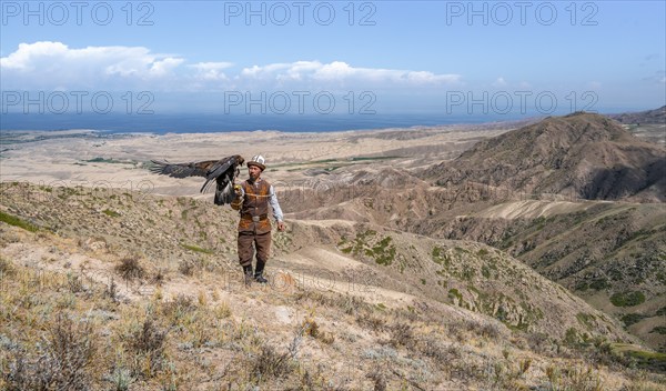 Traditional Kyrgyz eagle hunter hunting in the mountains in a dry landscape, near Kysyl-Suu, Issyk Kul, Kyrgyzstan, Asia