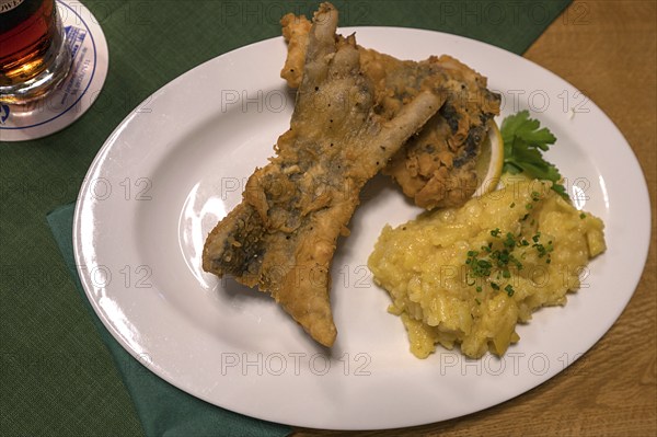 Baked carp fillet (Cyprinus carpio) served with potato salad in a pub, Franconia, Bavaria, Germany, Europe