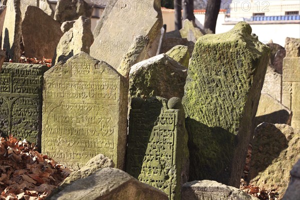 The Old Jewish Cemetery in the Josefov district is one of the most historically significant Jewish cemeteries in Europe. It contains over 12, 000 gravestones and presumably the remains of 100, 000 people, Prague, Czech Republic, Europe