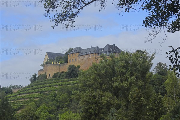 Ebernburg Castle, Bad Münster am Stein-Ebernburg, Bad Kreuznach, Rhineland-Palatinate, Germany, Europe