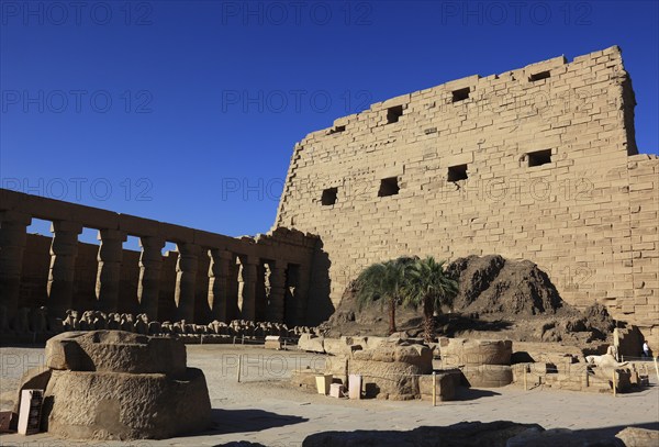 Luxor, Karnak Temple, part of the Amun Re Temple in Karnak, Africa, Upper Egypt, UNESCO World Heritage Site