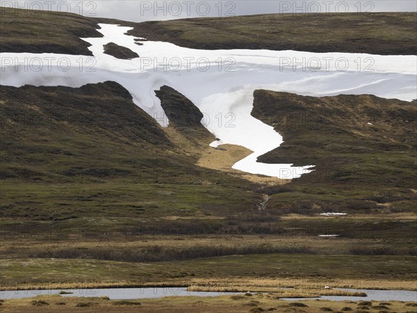 Snowfield remains in the lee of a tundra hill slope, Varanger National Park, Varanger Fjord, May, Norway, Europe