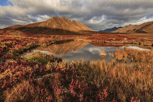 Morning light, clouds, fog, autumnal tundra, autumn colours, wilderness, mountains reflected in lake, Ogilvie Mountains, Dempster Highway, Yukon, Canada, North America