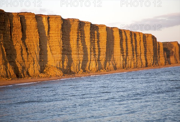 Golden afternoon light on sandstone cliffs, East Cliffs, West Bay, Bridport, Dorset, England, UK