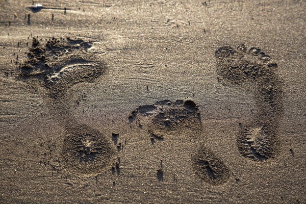 Imprint in the sand by the feet of the family with mother, father and child