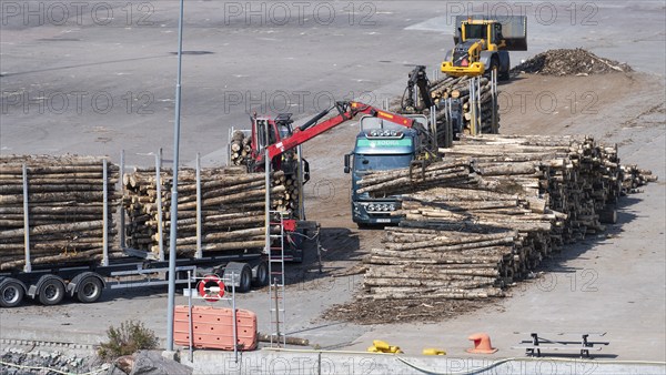 Logs are loaded onto large trailers, timber industry, timber trade, harbour, Sweden, Europe