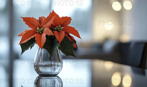 A vase of red poinsettias sits on a table. The vase is clear and the flowers are bright and vibrant. The room is dimly lit, creating a cozy and intimate atmosphere AI generated