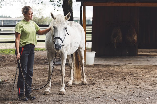 Caucasian woman trainer holding a white horse on the leash, taking hime horseback riding on the ranch