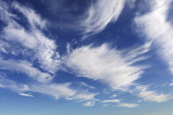 White cirrus clouds on blue sky, cirrus clouds of ice crystals frayed by high-altitude winds. White cirrus clouds on blue sky. Cirrus clouds are thin and wispy ice clouds at a high altitude