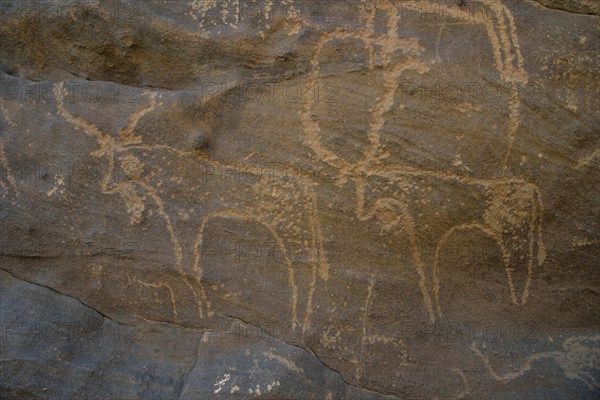 Rock engraving of two antelopes from the Neolithic period, Sabu, Nubia, Sudan, Africa