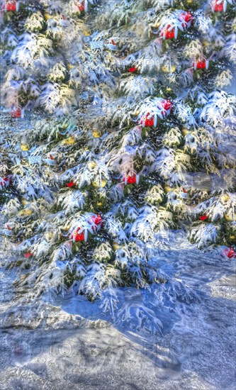 Christmas tree in the snow, Christmas tree, winter landscape, Christmas motif, Christmas, Christmas festival, Advent season, Christmas baubles, jewellery, Advent season, artistic shot, alienation, Christmas card motif, creative photography, all over, all-over pattern, surreal, Germany, Europe