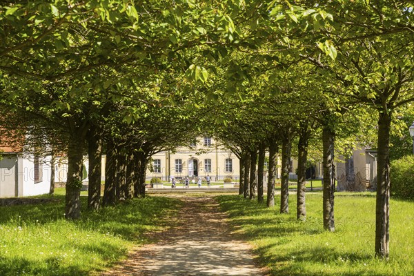 The baroque Königshain Castle is one of the two castles in the East Saxon municipality of Königshain in the district of Görlitz, which belongs to Upper Lusatia, alongside the Renaissance Königshain Castle. It was built between 1764 and 1766 and is part of the extensive estate of the former Königshain manor, which also includes the Renaissance castle and a large number of farm buildings., Königshain, Saxony, Germany, Europe