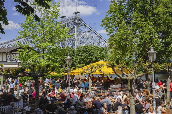 Groups of men on their way to the Men's Day on the Dresden Elbe cycle path, here the packed Schillergarten, Dresden, Saxony, Germany, Europe