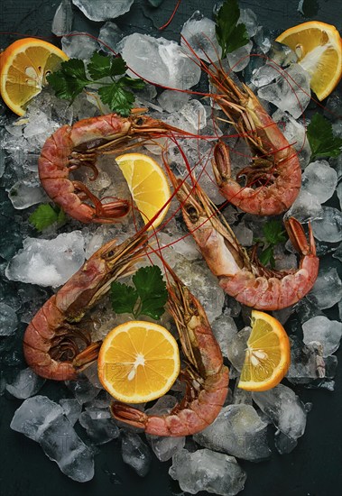 Tiger prawns, boiled and frozen, on ice, top view, close-up, no people